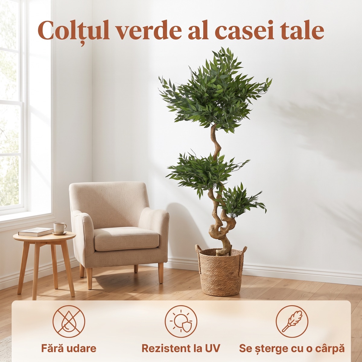 Ficus în living