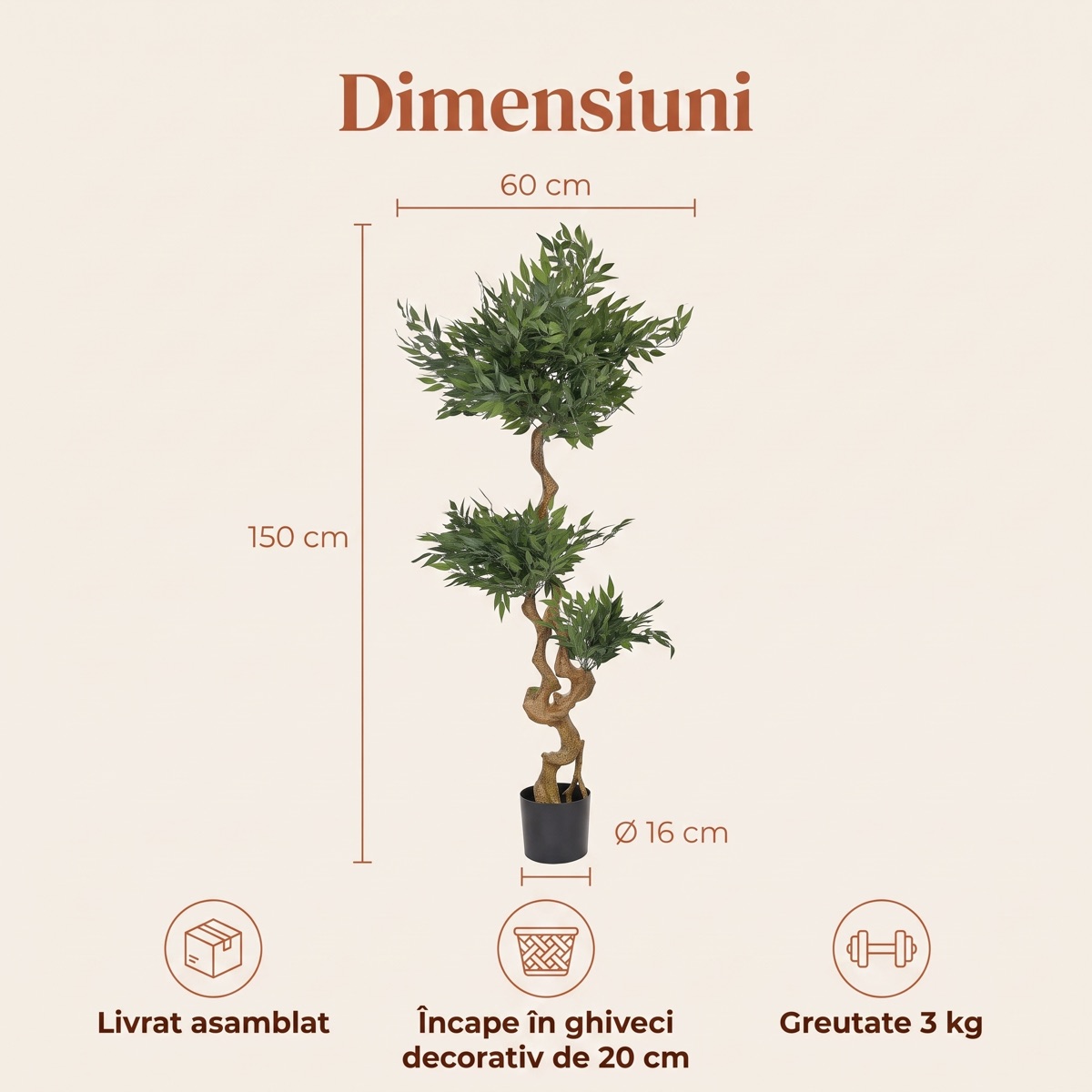 Dimensiuni